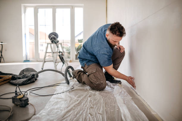 Best Fire-Damaged Drywall Repair  in Kingwood, WV